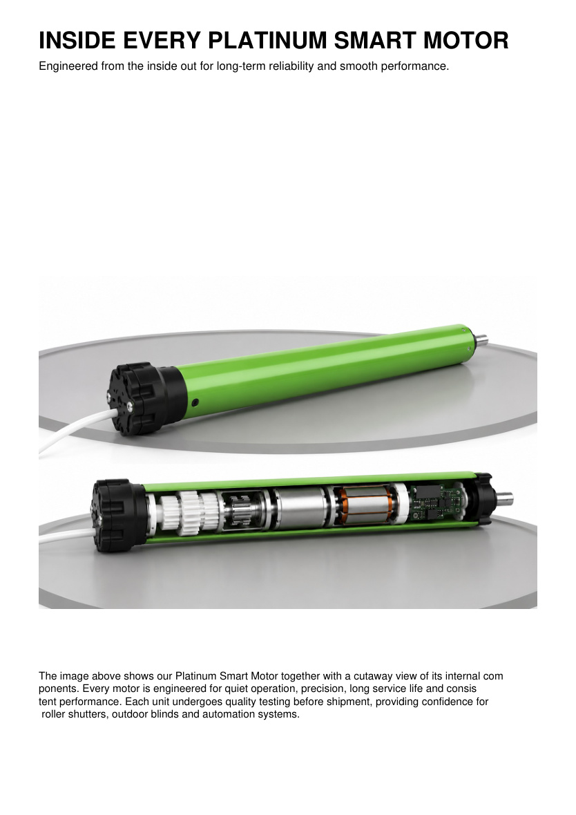 Platinum Smart Motor